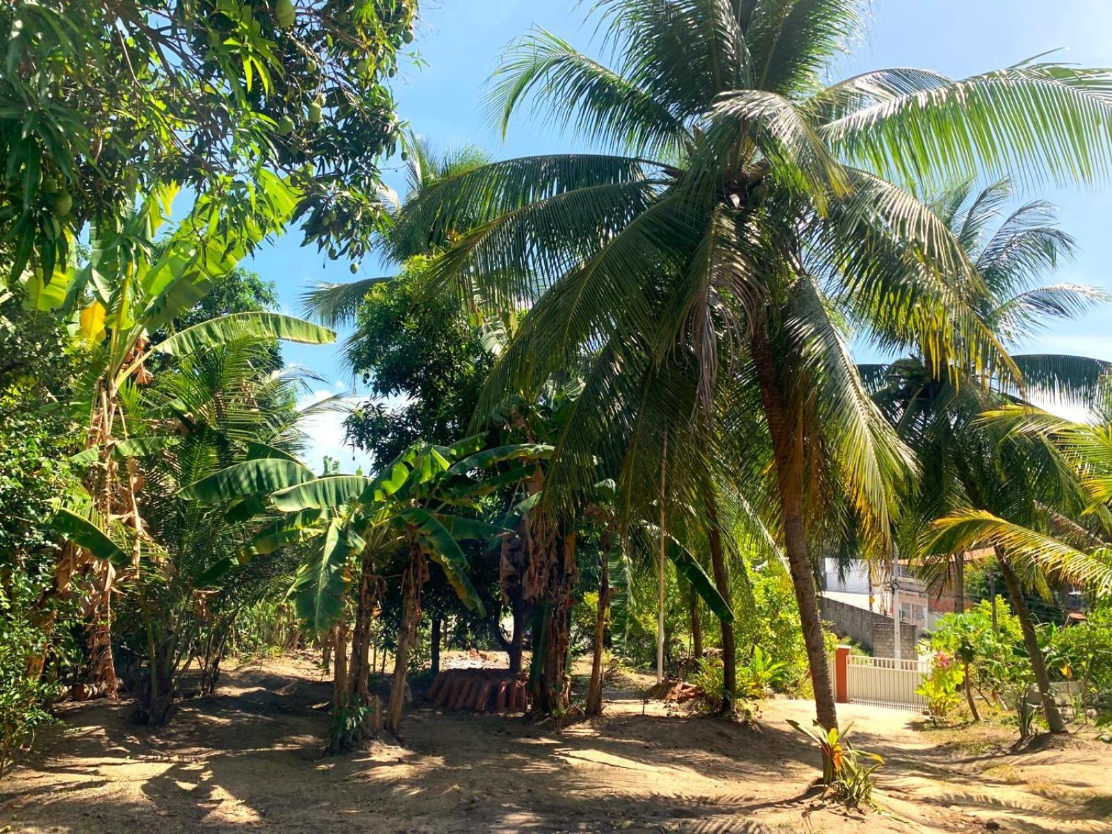 Jacarecica Haus Ξενοδοχείο Maceió Εξωτερικό φωτογραφία